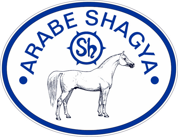 logo shagya